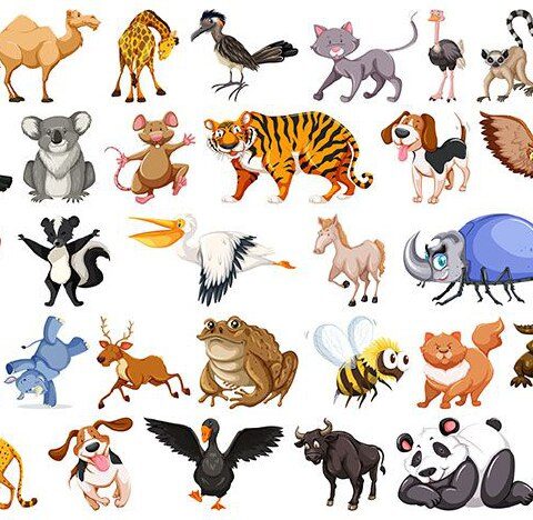 وکتور پرنده