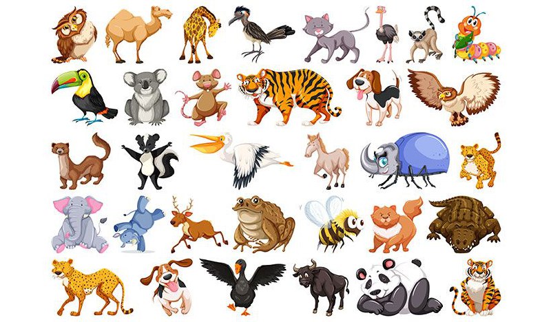 5997103865683627781_120