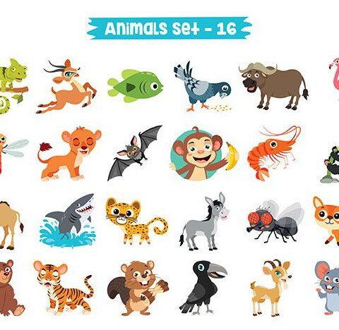 وکتور میمون