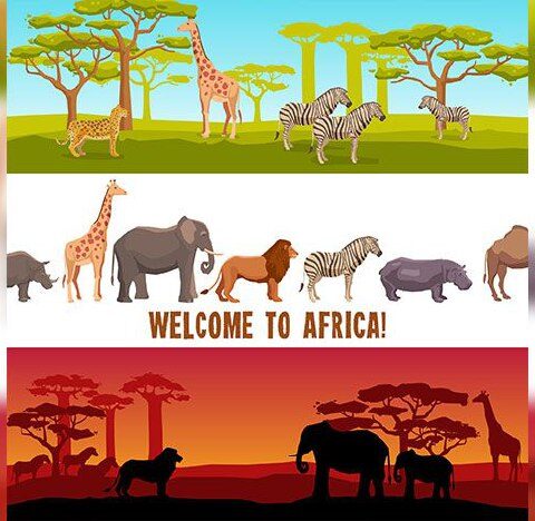 وکتور آفریقا