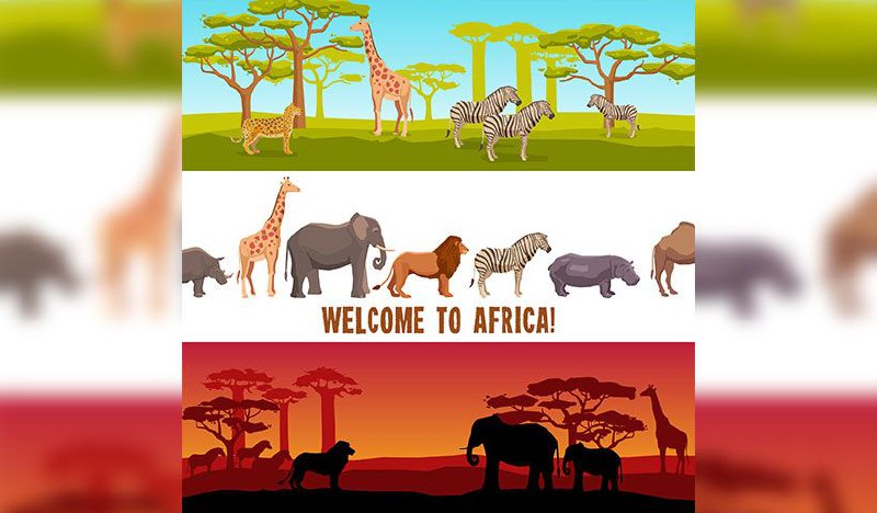 5997103865683627784_120