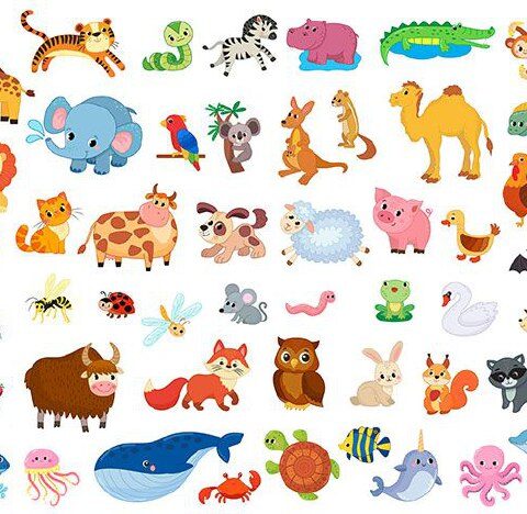 وکتور حیات وحش