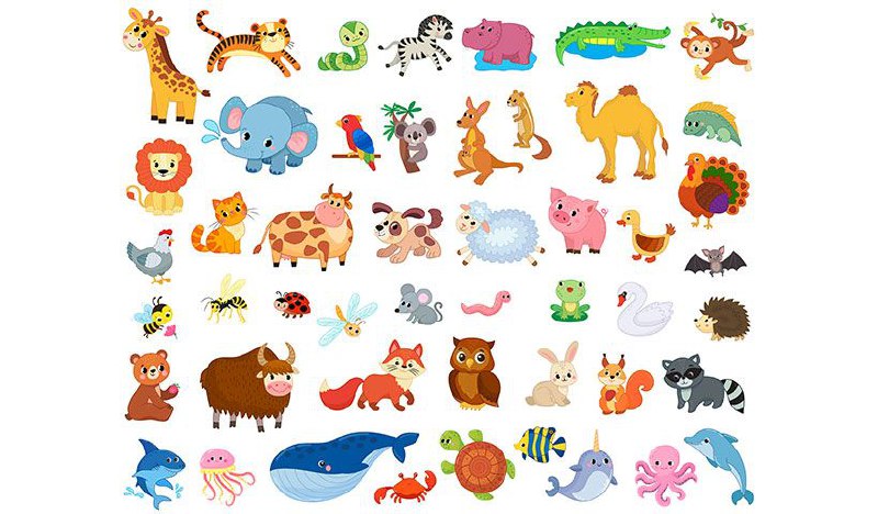 5997103865683627790_120