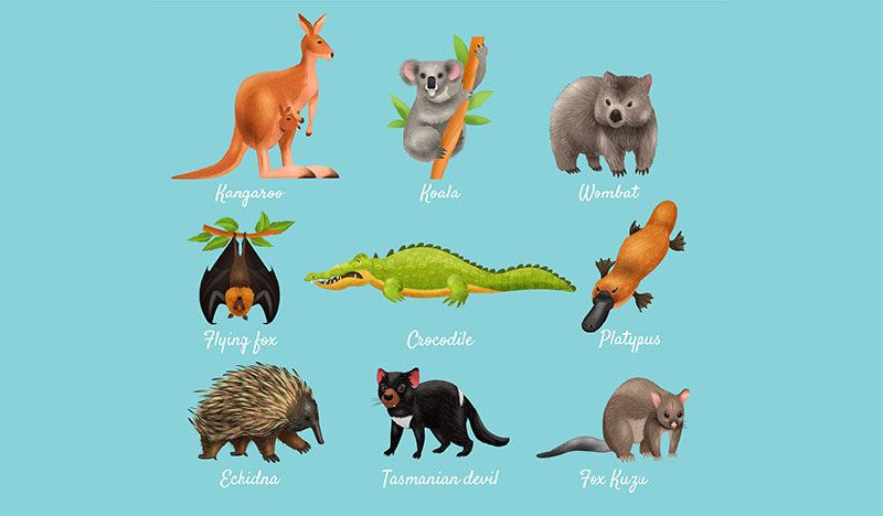 5997103865683627792_120