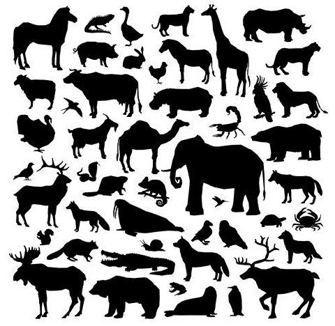 وکتور خزنده