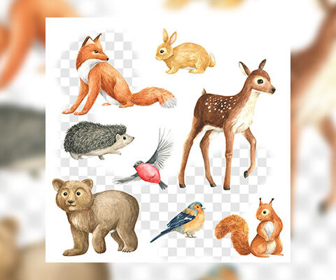 فایل لایه باز آهو