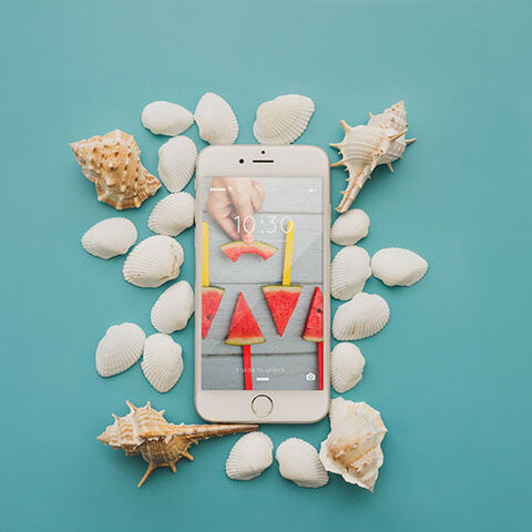 فایل لایه باز صدف