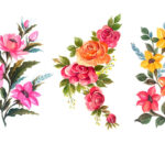 مجموعه گل رز