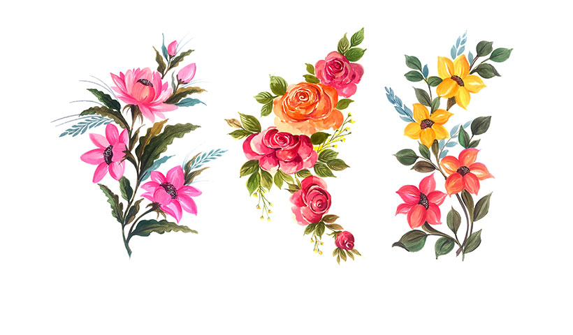 beautiful-bunch-floral-set-vector-illustration مجموعه گل رز
