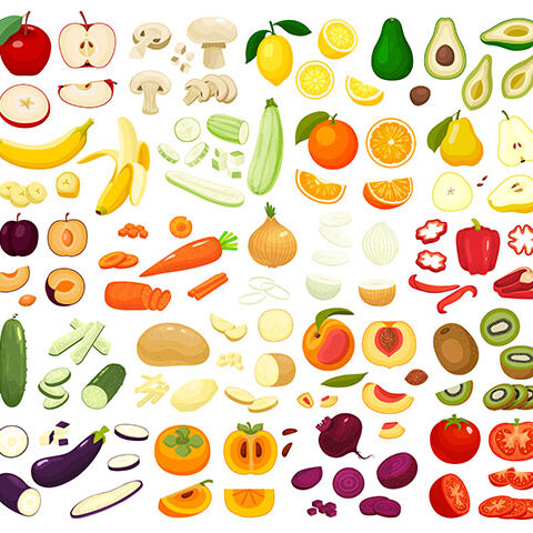 وکتور مجموعه ای از انواع میوه ها