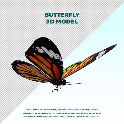 فایل لایه باز پروانه