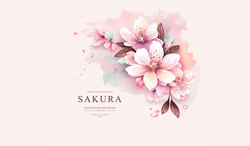 collection_herry_blossom_flowers_branches_vector_watercolor_styl وکتور گل صورتی