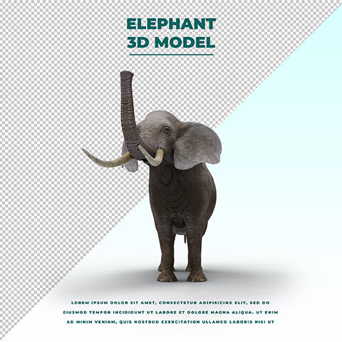 فایل  لایه باز فیل