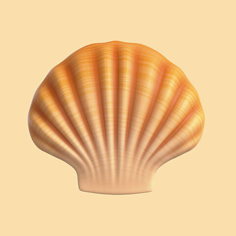 فایل لایه باز مروارید