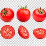 فایل لایه باز مجموعه ای از گوجه ها