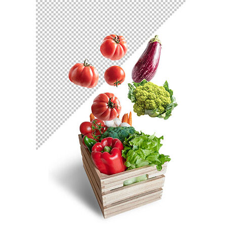 فایل لایه باز مجموعه ای از سبد سبز