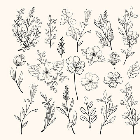 مجموعه وکتور گل های سیاه سفید