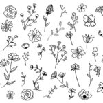 مجموعه وکتور گل نقاشی