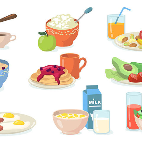 وکتور مجموعه غذاهای سالم