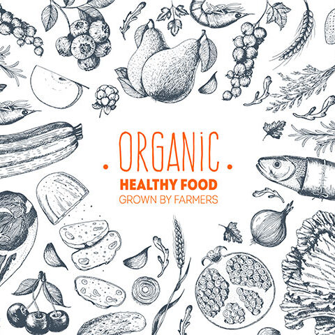 وکتور مجموعه غذاهای پروتئینی