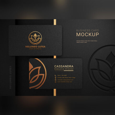 فایل لایه باز کارت ویزیت دانا