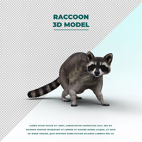 فایل لایه باز راکون