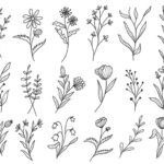 مجموعه وکتور گل سنبل