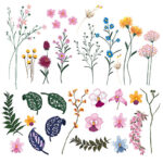 مجموعه وکتور گل شاخه ای