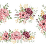 مجموعه وکتور گل سرخ