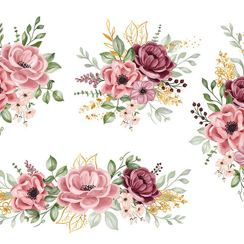 مجموعه وکتور گل سرخ