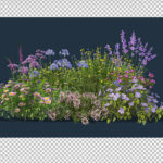 فال لایه باز مجموعه ای از گل ها