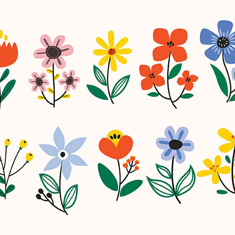 مجموعه وکتور گل طراحی شده