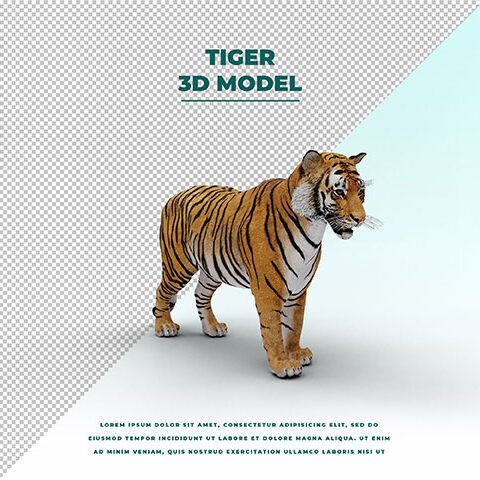 فایل لایه باز ببر