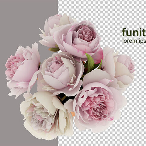 فایل لایه باز محموعه گل محمدی