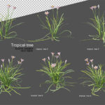 فایل لایه باز مجموعه گل بوته ای