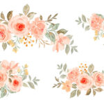 مجموعه وکتور گل سبدی