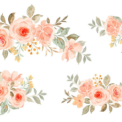 مجموعه وکتور گل سبدی