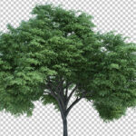 فایل لایه باز فصل طبیعت