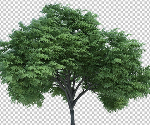 فایل لایه باز فصل طبیعت