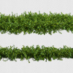 فایل لایه باز علف