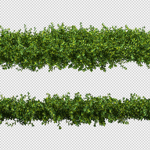 فایل لایه باز علف