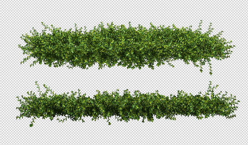 beautiful-various-kinds-flowers-3d-rendering-isolated فایل لایه باز علف