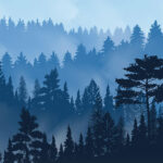 وکتور مه گرفتگی