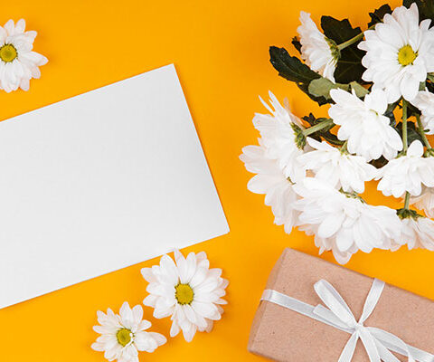 فایل لایه باز فصل بابونه