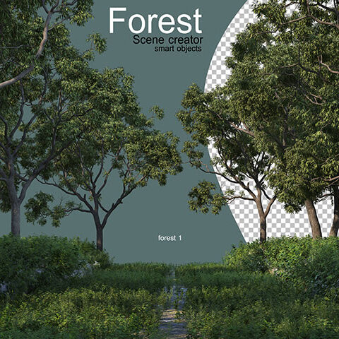 فایل لایه باز جنگل