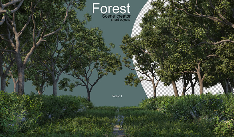 forest-with-various-types-trees فایل لایه باز جنگل