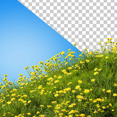 فایل لایه باز گلزار