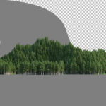 فایل لایه باز چوب سفید