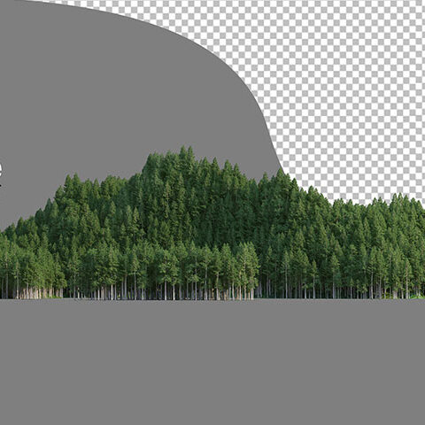 فایل لایه باز چوب سفید