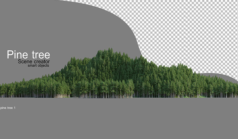 high-mountain-with-pines-various-types-adults فایل لایه باز چوب سفید